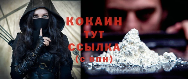 молекула духа Арсеньев