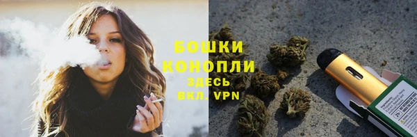 молекула духа Арсеньев