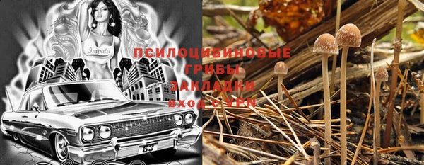 дурь Аркадак