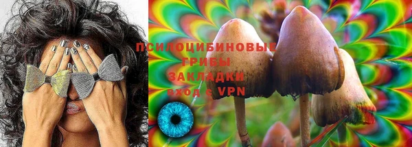 молекула духа Арсеньев