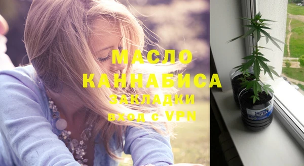 молекула духа Арсеньев