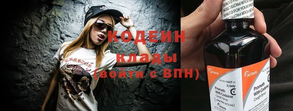молекула духа Арсеньев