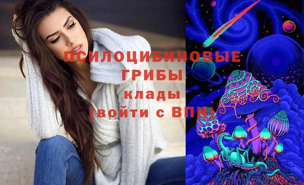 дурь Аркадак