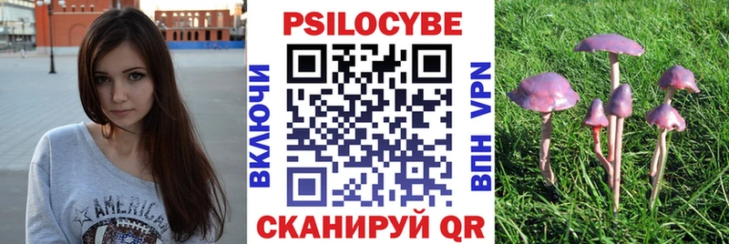 Галлюциногенные грибы прущие грибы  кракен tor  площадка официальный сайт  Олёкминск 
